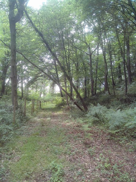 Les Gites De Castera Aire-sur-lʼAdour Exteriér fotografie