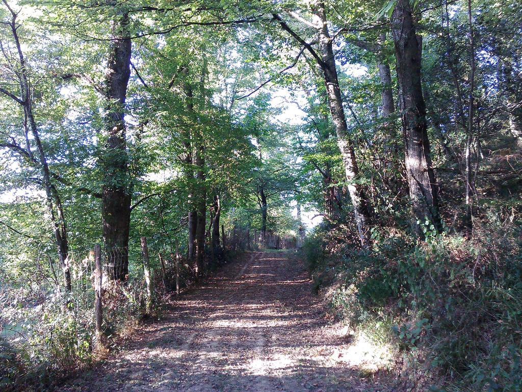Les Gites De Castera Aire-sur-lʼAdour Exteriér fotografie